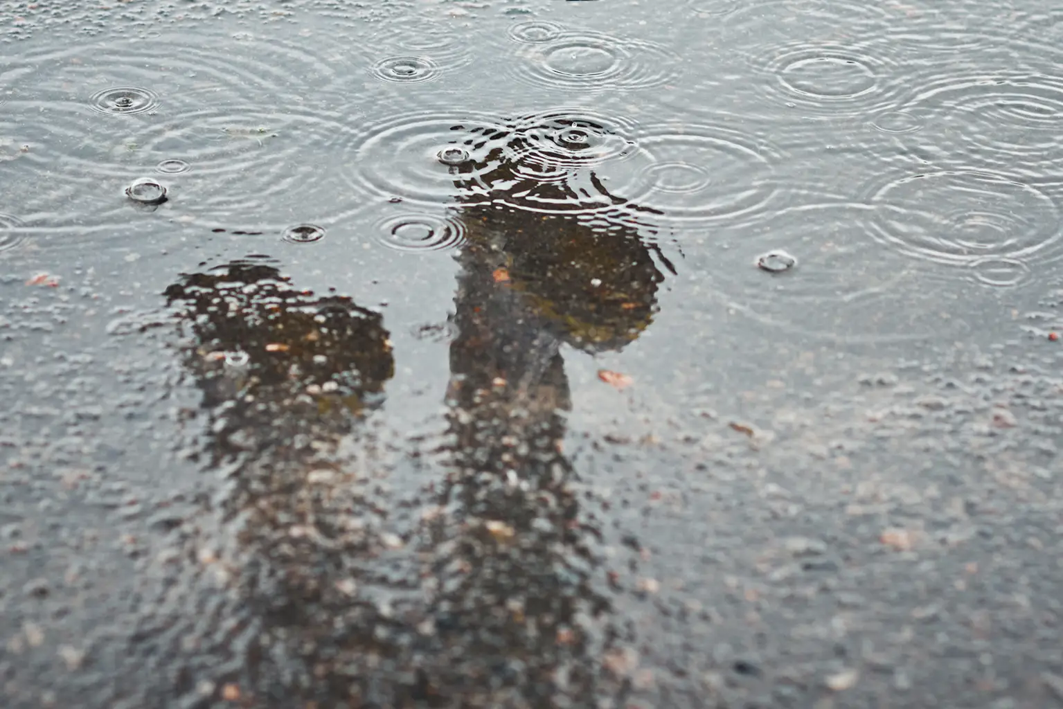 Lluvias intensas y vientos sobre 100 km/h marcarán el paso de un sistema frontal en La Araucanía.