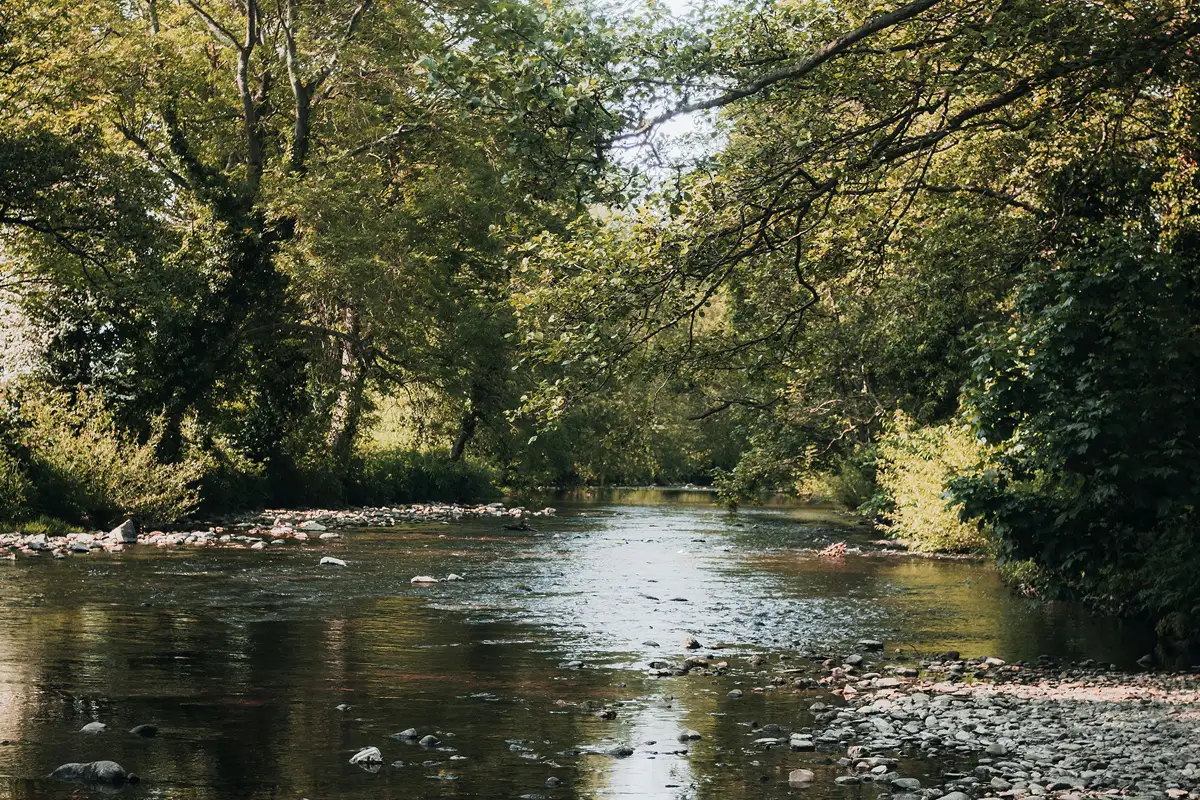 Amplían plazo del concurso de microcuentos ambientales en La Araucanía