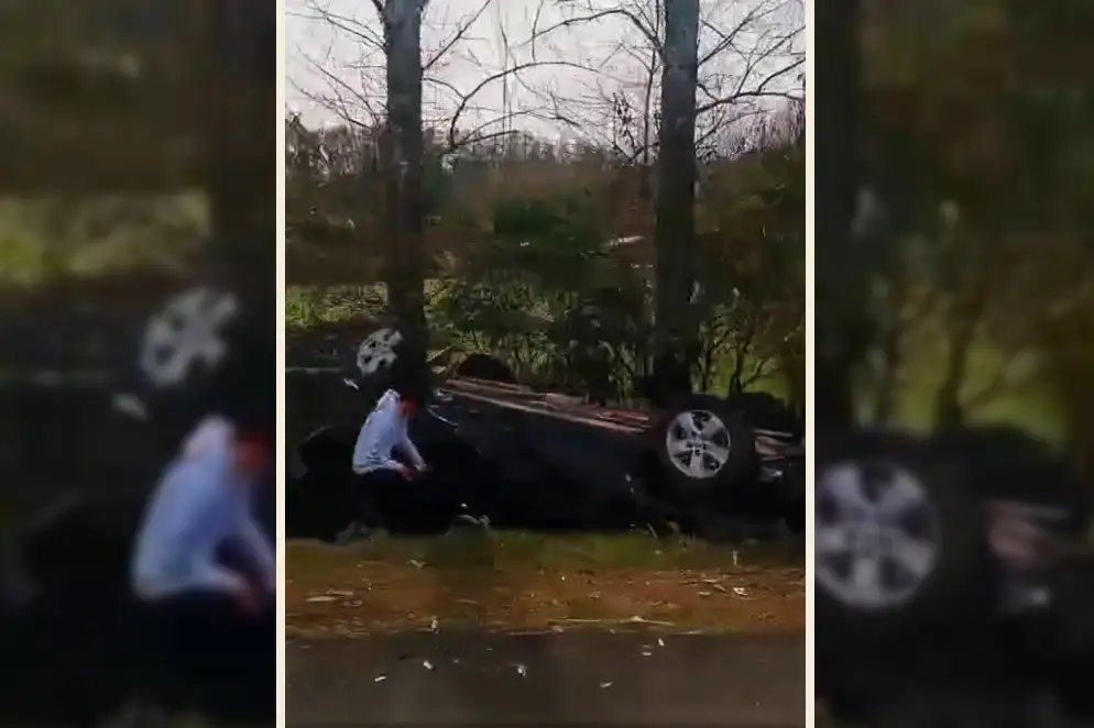 Accidente en la ruta Freire Villarrica deja vehículos en zanja