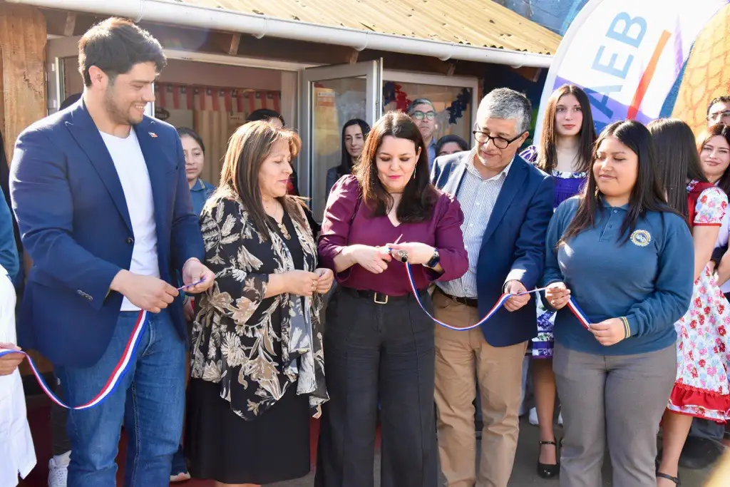 Inversión histórica en salud mental y hogares estudiantiles en La Araucanía