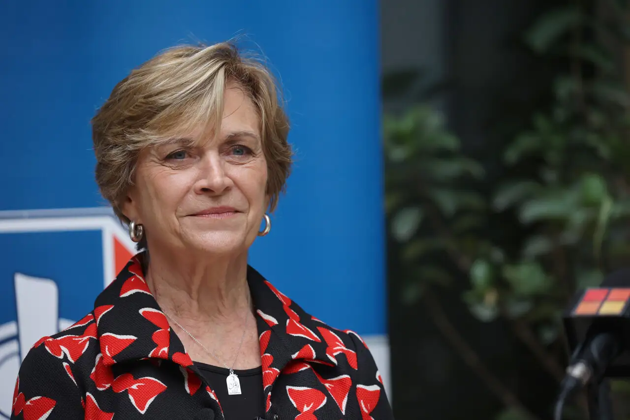Evelyn Matthei recibe apoyo de más de 100 figuras de centro e izquierda