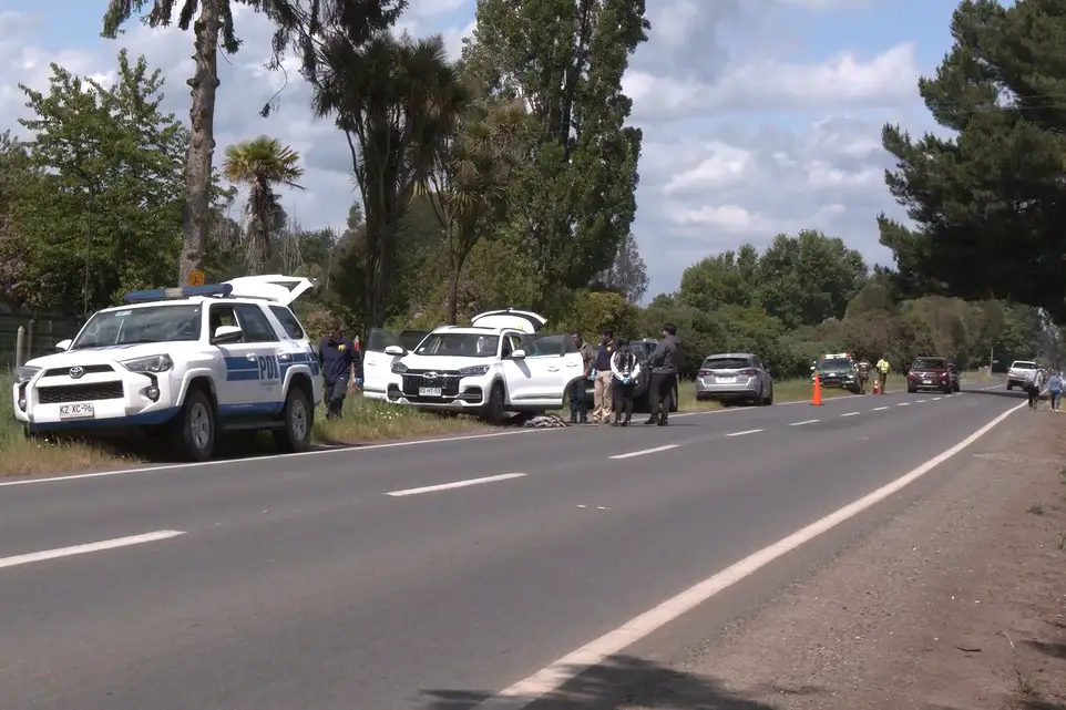 Femicidio en la ruta Freire–Villarrica: prisión preventiva para imputado por crimen de su pareja
