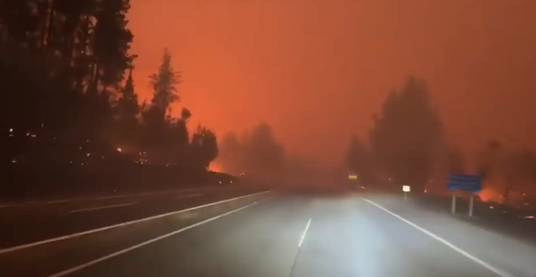 24 incendios forestales siguen activos en Chile: Ñuble y Biobío bajo alerta roja por emergencia