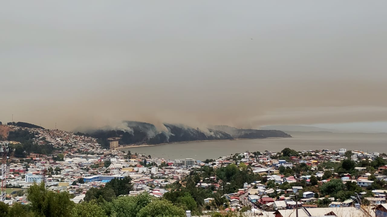 Autoridades aplican toque de queda nocturno en la provincia de Concepción por incendios forestales.