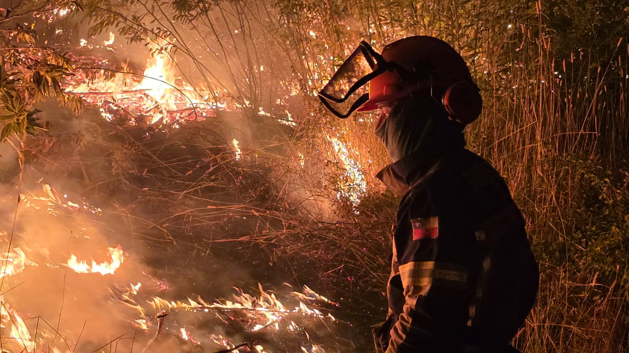 Incendios forestales dejan 21 muertos, más de 800 viviendas destruidas y 27 mil hectáreas arrasadas