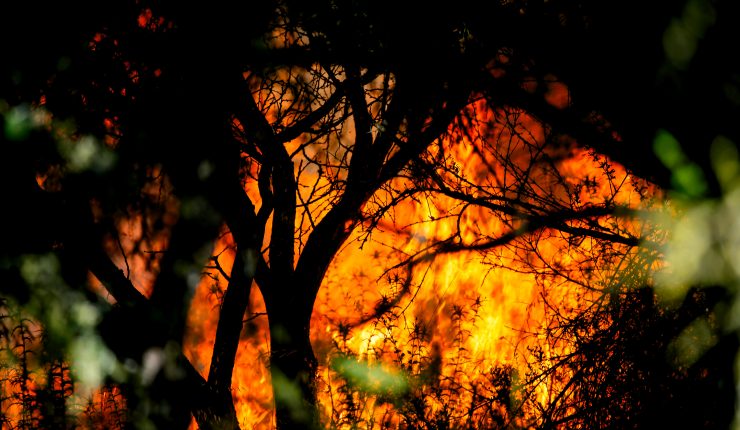 Bomberos de Angol se retiran de incendio tras ataques armados contra voluntarios