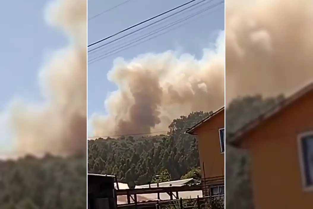 Alerta roja fue declarada en Carahue por incendio forestal activo en el sector Cerro Lircay.
