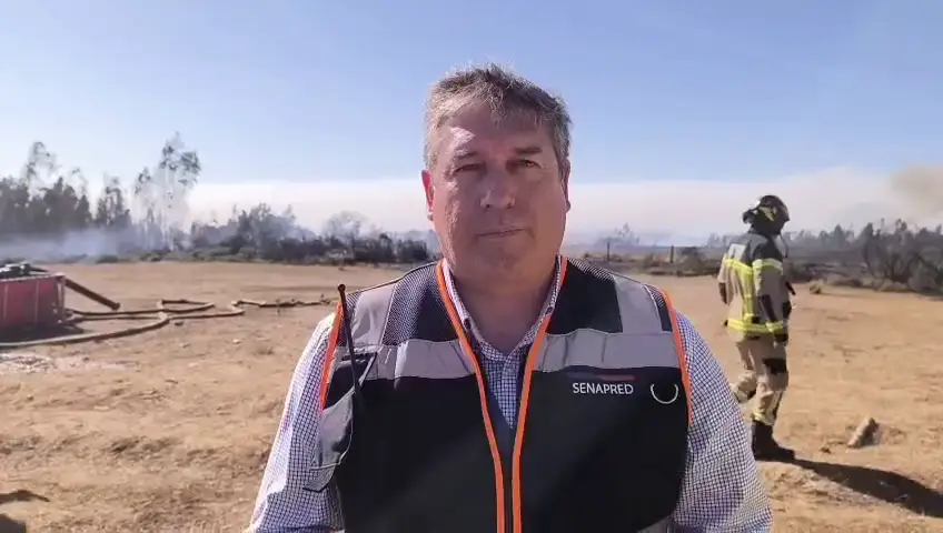 Senapred ordena evacuación inmediata en sectores de Temuco por incendio forestal activo