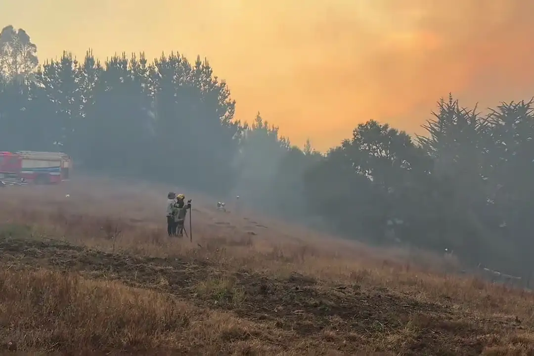 Emergencia en Cholchol: alcalde Labraña coordina acciones en sector Quilimanzano