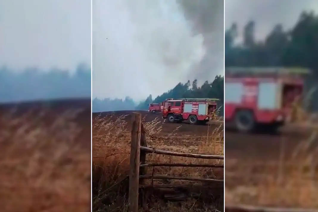 Senapred solicita evacuación Colonia Manuel Rodríguez de Angol por incendio forestal