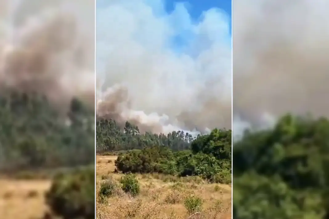 Senapred activa evacuación en Huiñoco, comuna de Cholchol, por avance del fuego