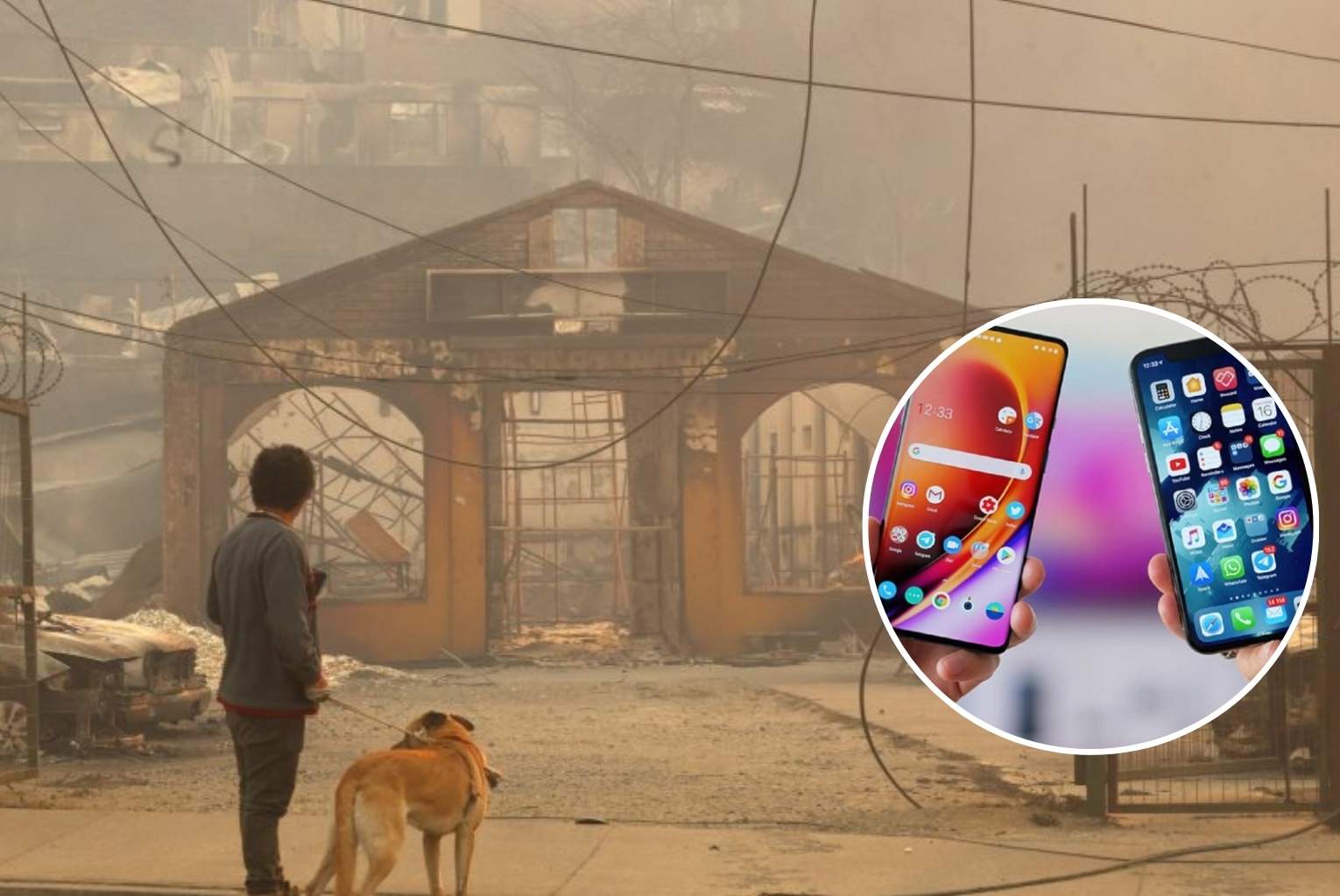 Empresas de telecomunicaciones liberan servicios ante emergencia en el sur del país