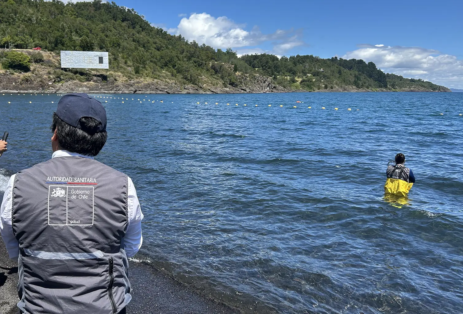 Descontaminación del Lago Villarrica podría reingresar a Contraloría tras revisión del Gobierno.
