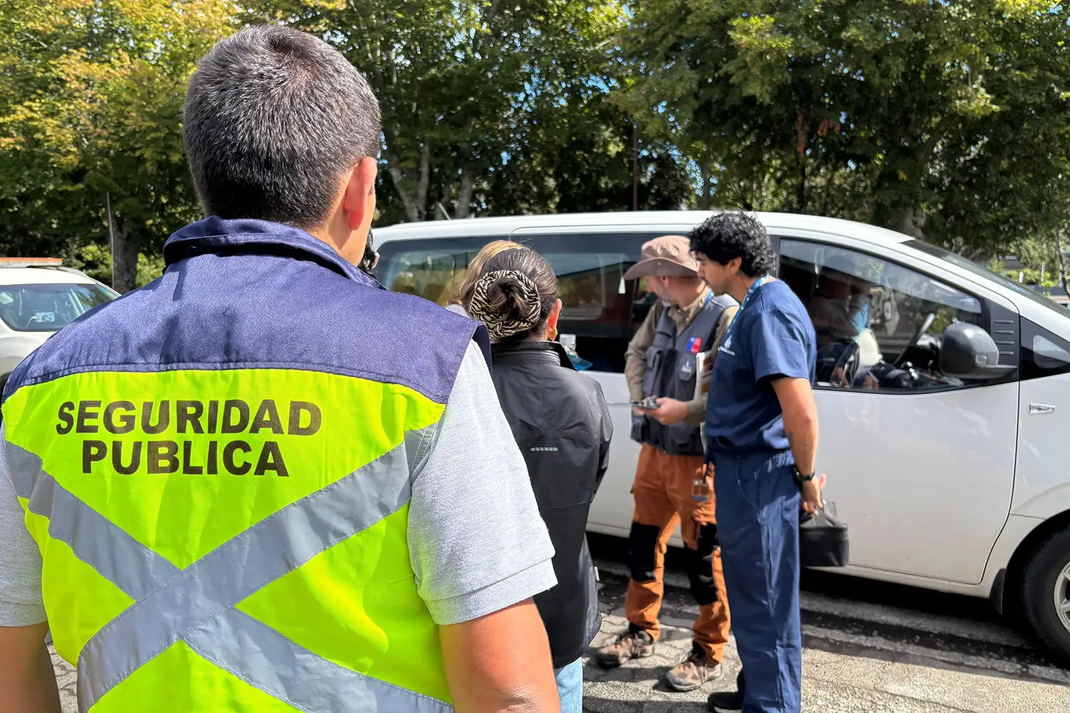 Murciélagos con rabia obligan a activar protocolo sanitario en Pucón