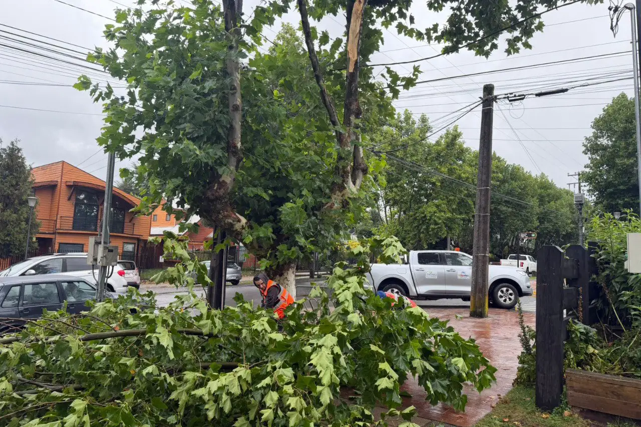 Cortes de energía en Villarrica afectan a más de 700 familias por sistema frontal