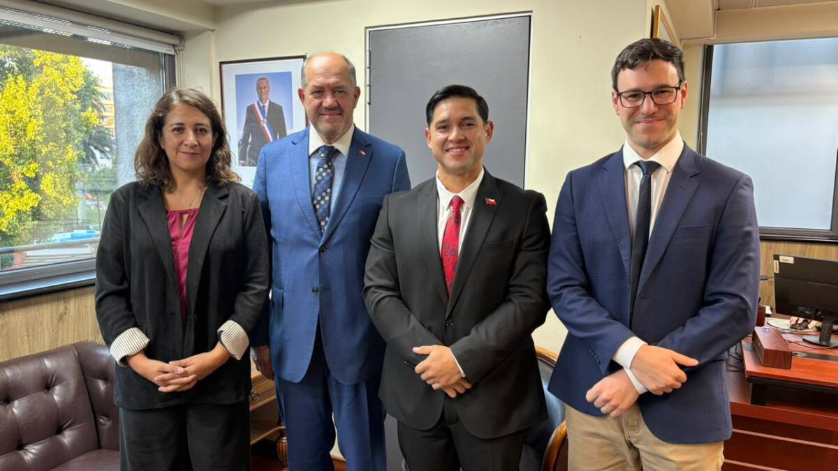 Nuevos seremis en La Araucanía: Gobierno presenta autoridades de Educación, Economía y Medio Ambiente