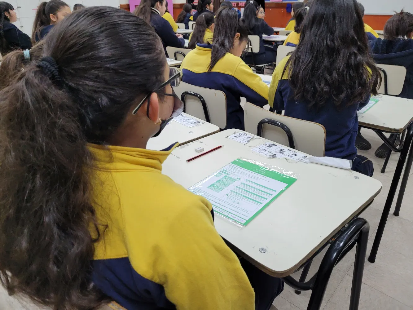 Simce 2025 en La Araucanía muestra mejora en Lenguaje y desafíos en Matemática