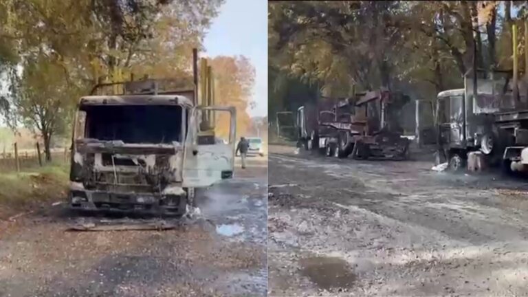 Atentado incendiario en Victoria dejó dos camiones forestales destruidos