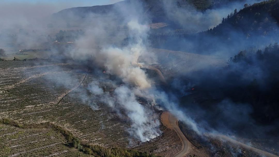 incendio forestal en Cunco