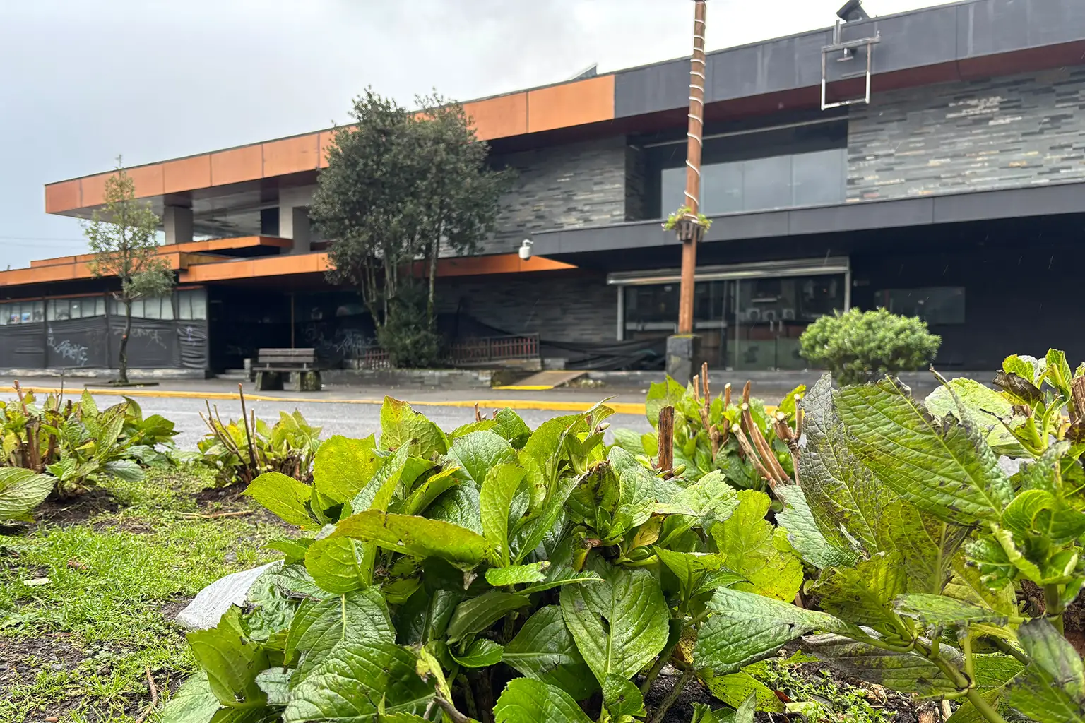 Mall chino en Pucón