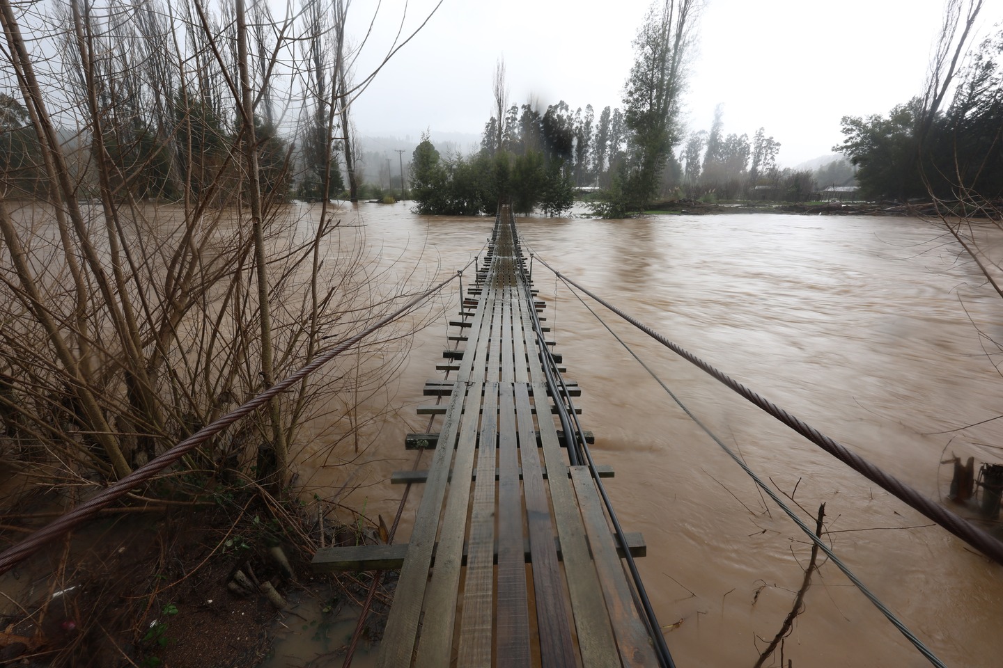 Ruta 5 Sur bajo vigilancia por crecida del río Perquilauquén en Ñuble